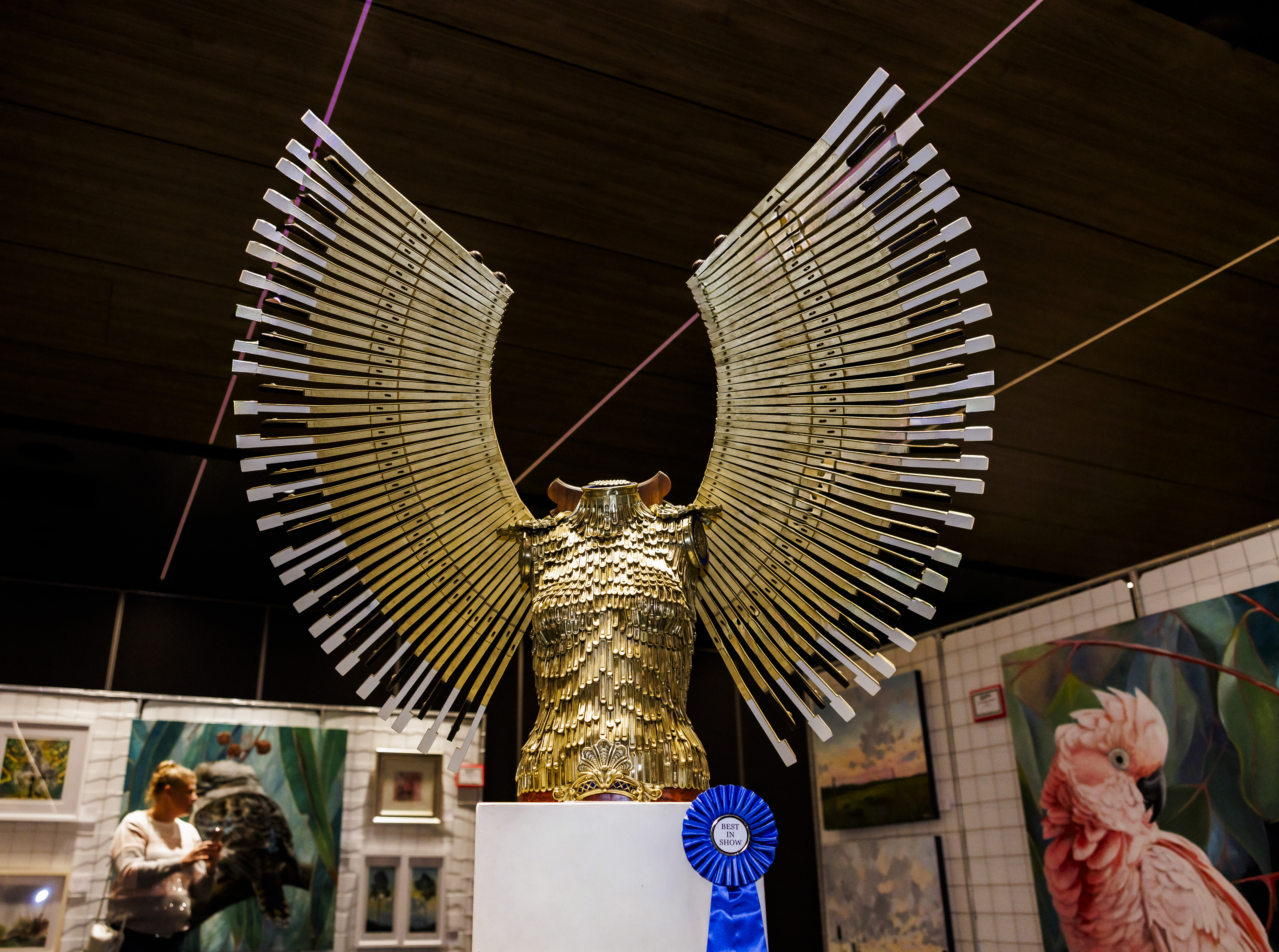 LoricaPlumata_DavidCox